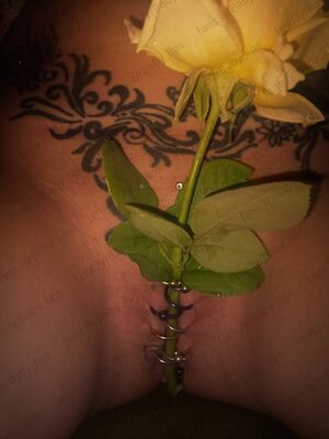 Female Chastity BDSM Pierced Piercing Pussy