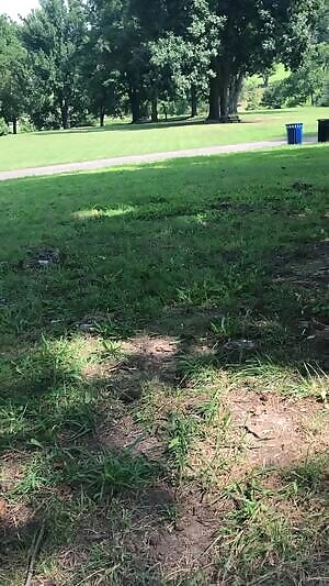 Everyone walking by thinks I’m just reading...little do they know