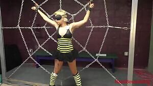 Halloween Slutty Bee having her clothes cut off and fingered.
