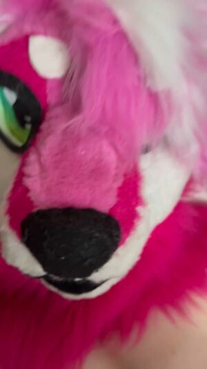 Fursuit Sex Creampie Creamy Furries Furry