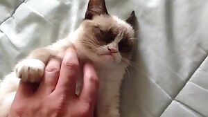 Mouth open, she loves it